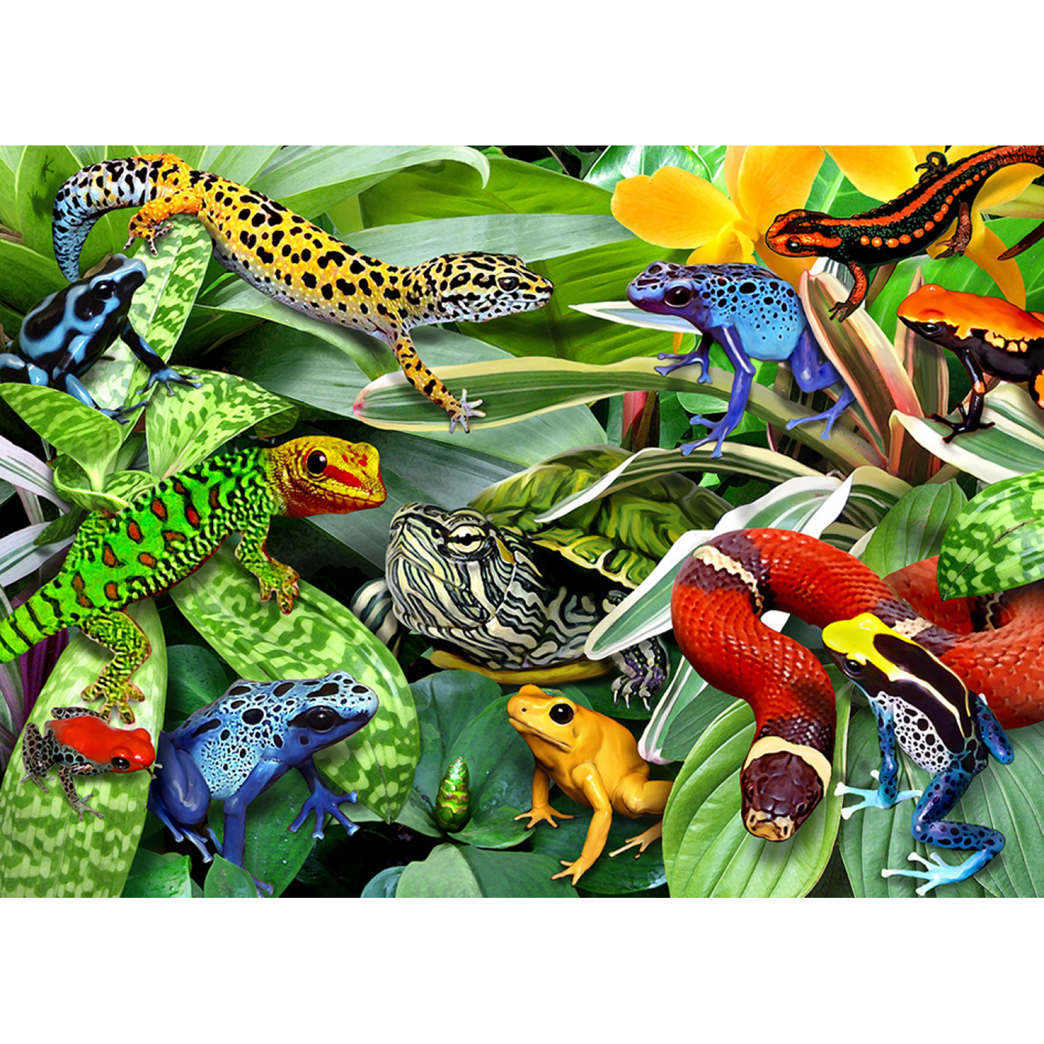 1660 Reptiles Puzzles