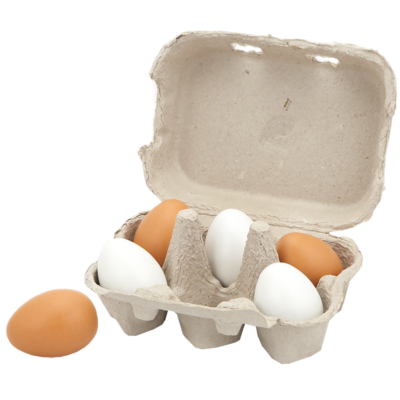 carton of 6 wooden toy eggs