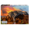box of 1500pc puzzle of lazy leopard at sunset