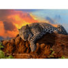 1500pc puzzle of lazy leopard at sunset