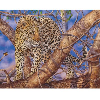 Leopards Gaze 1500pc