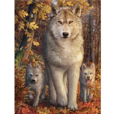 Forest Wolves 1500pc