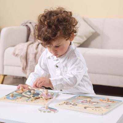 PolarB Transport Flat Peg Puzzle