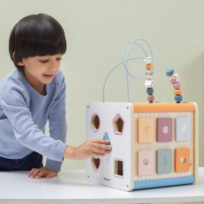 PolarB 8-in-1 Activity Cube