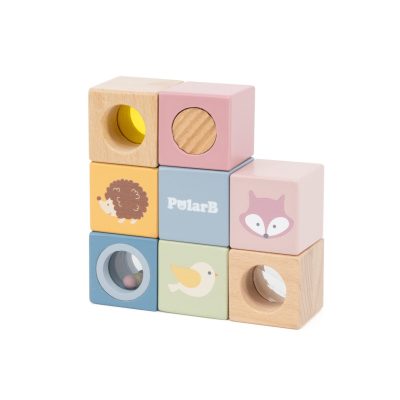 PolarB Sensory Blocks