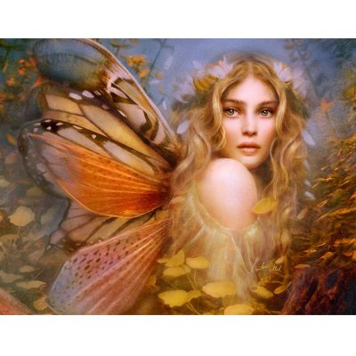 Butterfly Guardian 300pc