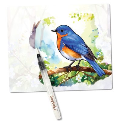 Aqua Paint - Wild Birds